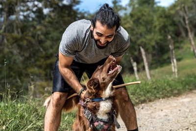 犬を褒める男性
