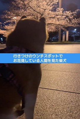 文句を言っています！