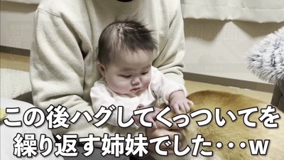 仲睦まじい姿にキュン