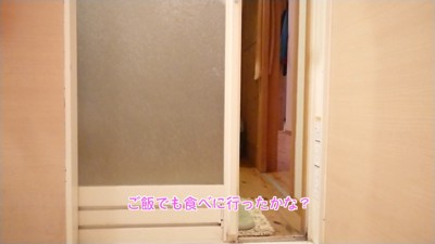 いなくなったと思ったら…