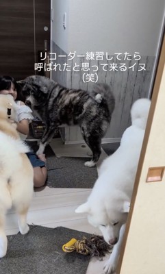 入れ替わり立ち替わり