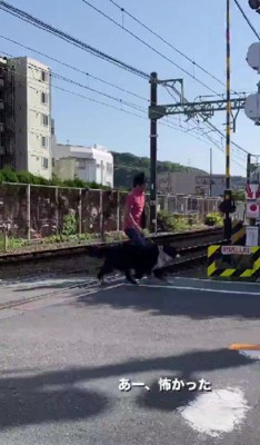 超特急で踏切から脱出