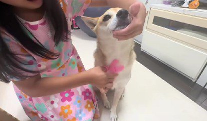 「ここを切ったらどうかな？」
