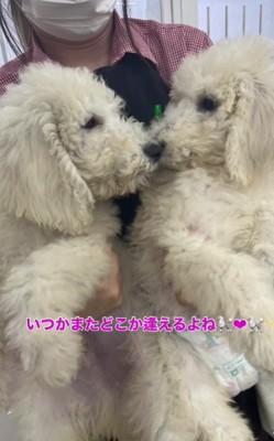 きっとまた会えるね