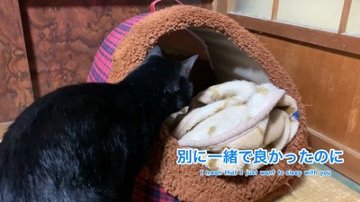 本当は一緒に入りたかった天くん