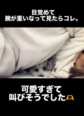 投稿主さんの腕枕で寝ていた♡