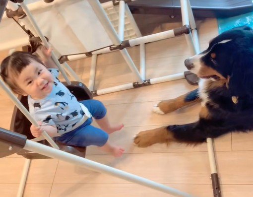 女の子を見守るダンロくん2