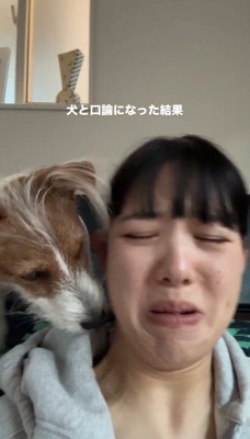 飼い主に顔を近づける犬