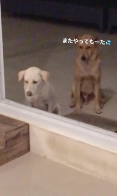 おしっこを失敗することも…