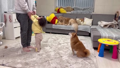 エンドレスループ…