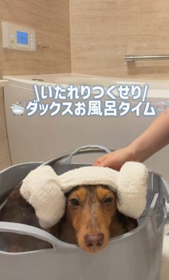 お風呂の時間
