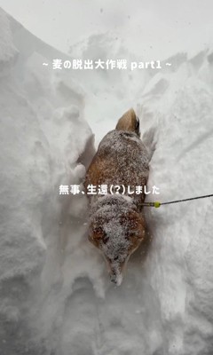 無事に生還しました♪