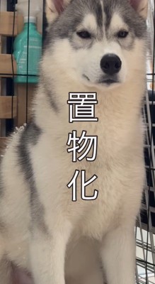 つい許してしまいそう…！