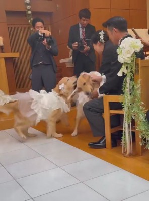 微笑ましいワンシーンでした♡