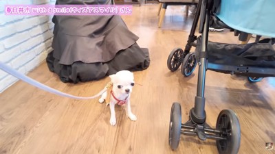 試着中は少し緊張気味？