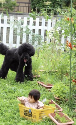 優しく見守ります