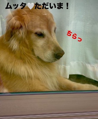 何度もチラ見