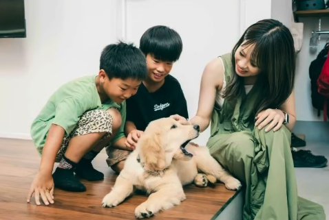 子供たちと初対面する子犬