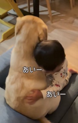 犬にハグする子ども2