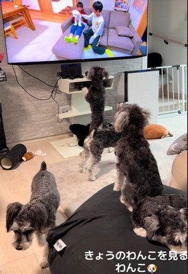 途中でいなくなる子も