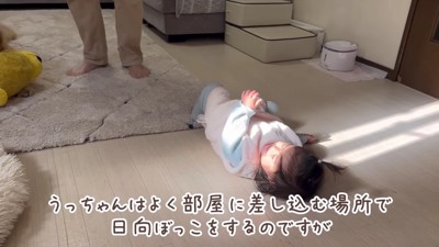 日向を発見したほのちゃん