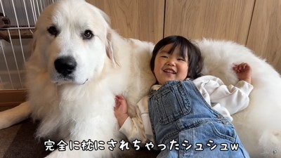 犬に寄りかかる女の子