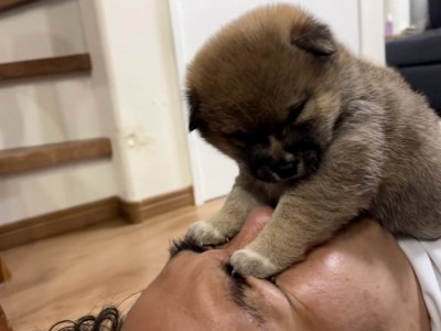 目を開けられないパパ