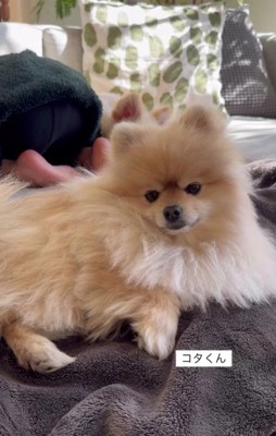 コタローくんも寄り添い