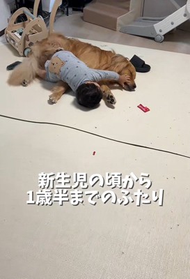 「構って!」「ちょ、やめて~」