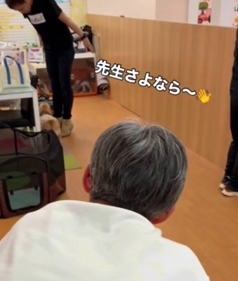 犬の幼稚園の先生の顔を見上げる犬
