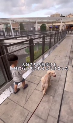 一緒にお散歩したり