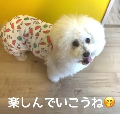 「家族になったんだな」