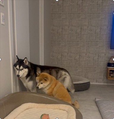 仲良しもちごめ兄弟