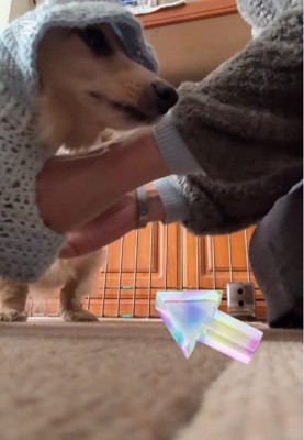 寝ていたはずのレオくんが隣に!