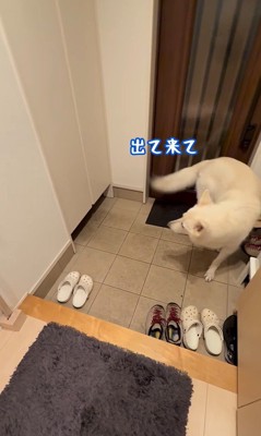 パパが隠れた時のれお君7