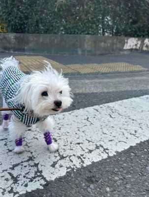 お気に入りの場所を通ってニコニコ♪