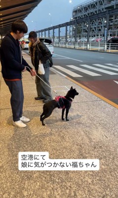 まさかのスルー！