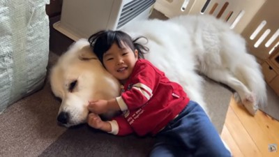 シュシュちゃんにくっつくろのちゃん