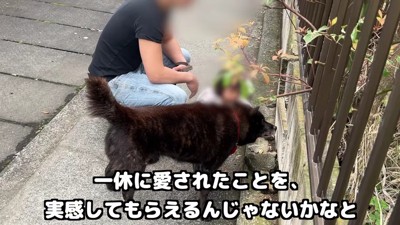 一休さんの愛を感じます
