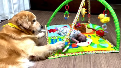 なんか揺らしてない…!?