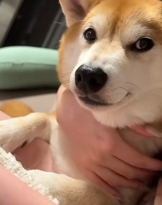 「もう怒ってないかな？」