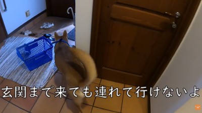家族が出かける日のワンジローくん2