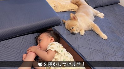 赤ちゃんの寝る時間です