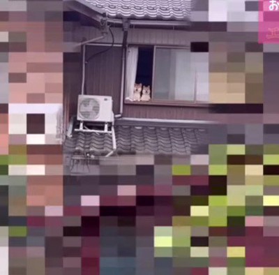 自宅の窓を見てみると…