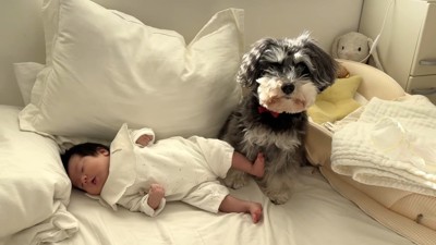 次女ちゃんとジジちゃん