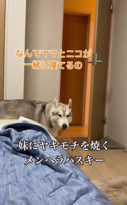 部屋に突入してきたモニカちゃん