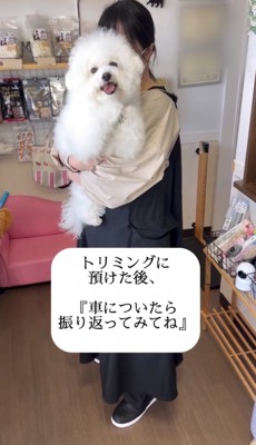 店内で抱っこされている犬