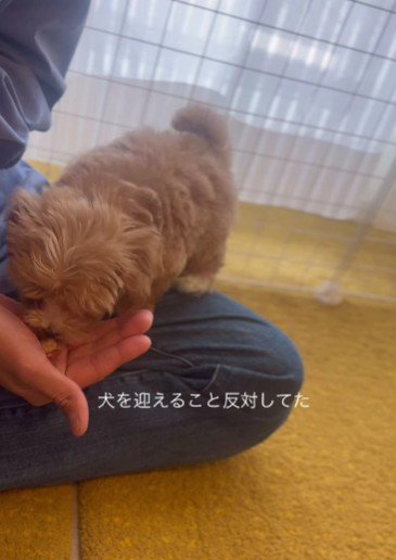 すっかりメロメロに♡