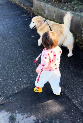 女の子とベルちゃんのお散歩2