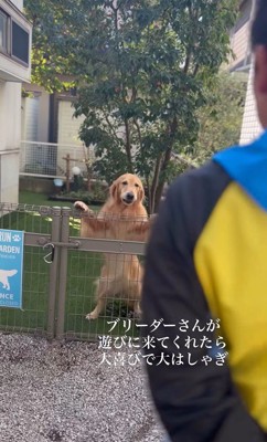そら君とブリーダーさんの再会